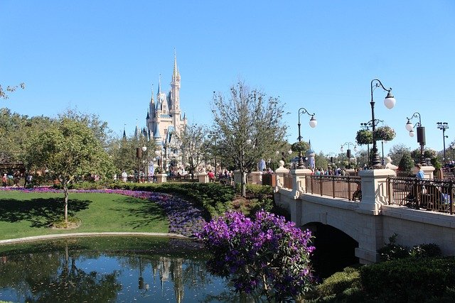 Disney World